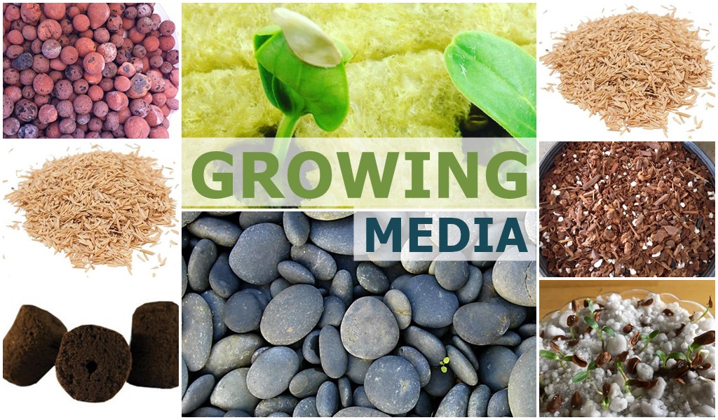 Growing Media for aquaponics and hydroponics