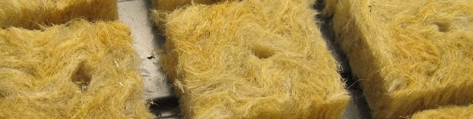 growing medium for hydroponics Rockwool cubes as growing medium for hydroponics