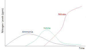 Graph of ammonia levels