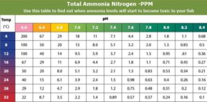 level of ammonia in PPM harmful for fish at different temp