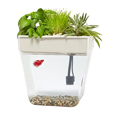 back to the roots water garden review aquafarm review