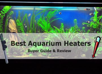 Best Aquarium Heaters