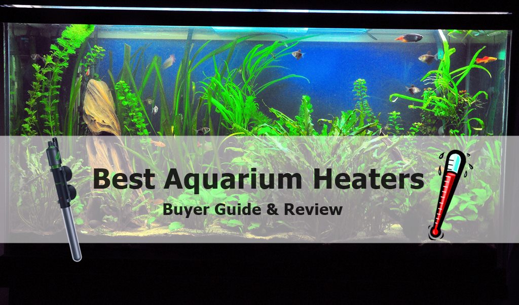 Best Aquarium Heaters