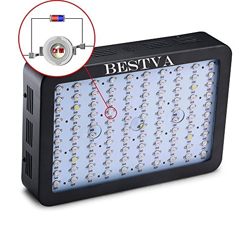 BESTVA LED Review