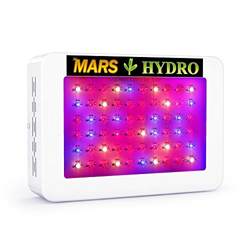 Mars hydro 300w Review