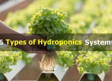 Types of hydroponics systems