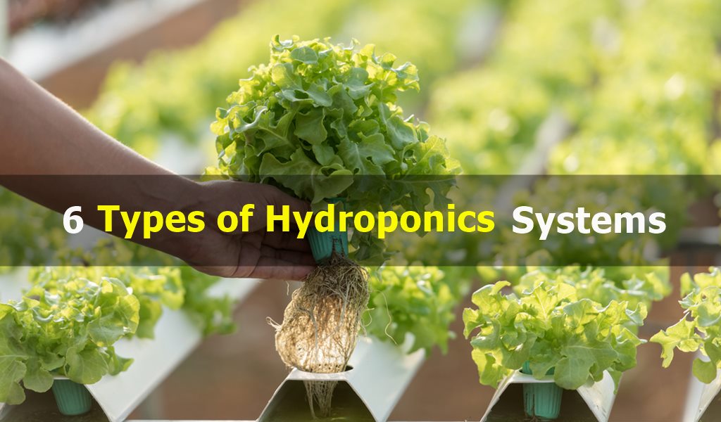 Types of hydroponics systems