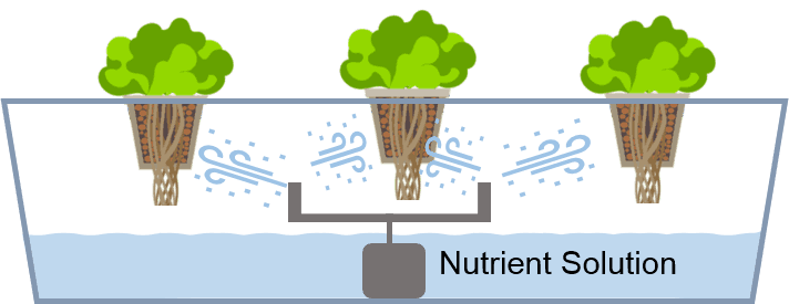 Hydroponics system types - Aeroponics System