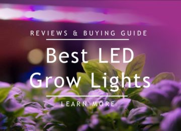 Best Led Grow Lights Review