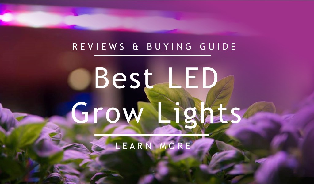 Best Led Grow Lights Review