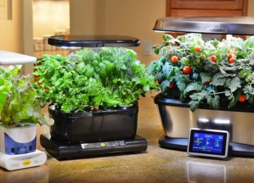 Best Aerogarden Kits