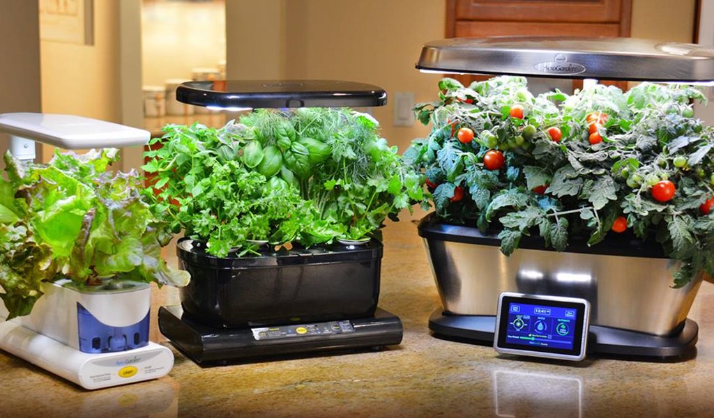 Best Aerogarden Kits