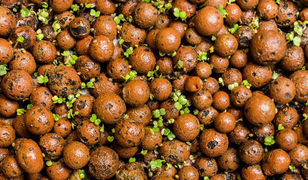 Hydroton Details about   4 LBS Clay Pebbles Grow Media Expanded Rocks Hydroponic Aquaponic 