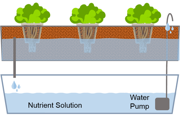 Hydroponics system types - Ebb and Flow Hydroponics