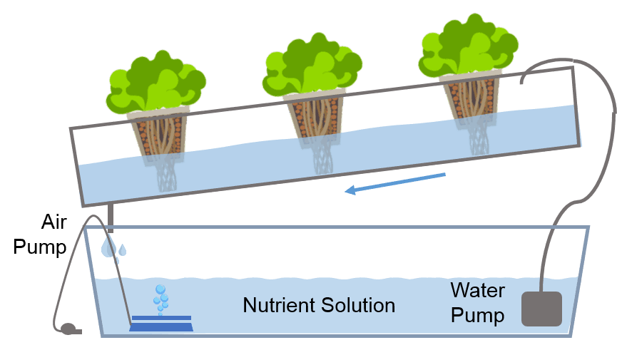 Hydroponics system types - Nutrients Film Technique