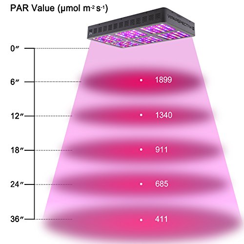 PAR values of VIPARSPECTRA V900 at different heights