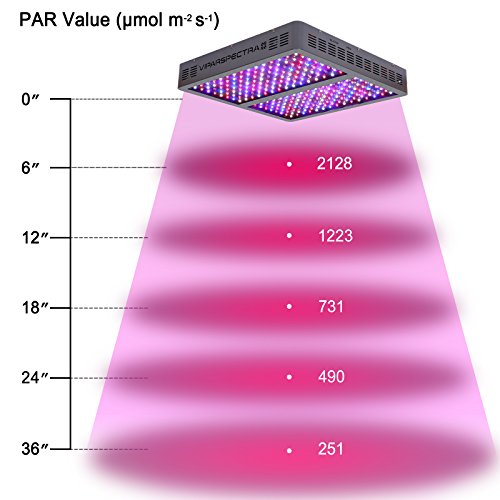PAR values of VIPARSPECTRA V1200 at different heights