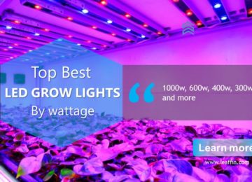 Best Led Grow Lights by watts