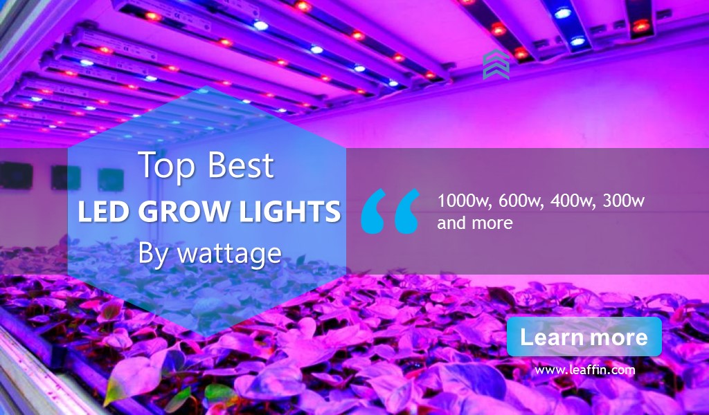 Best Led Grow Lights by watts