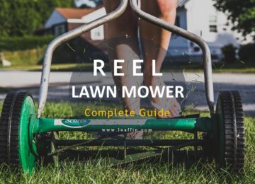 Reel Lawn Mower reviews