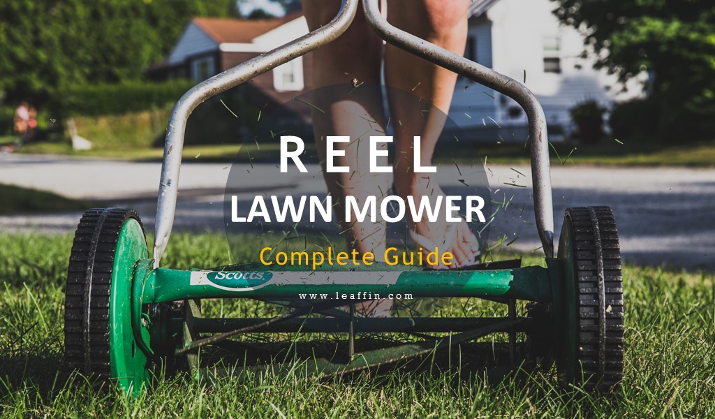 Reel Lawn Mower reviews