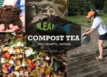 Compost tea guide