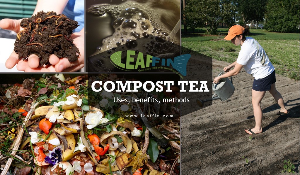 Compost tea guide