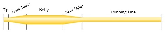 What is Fly Line?