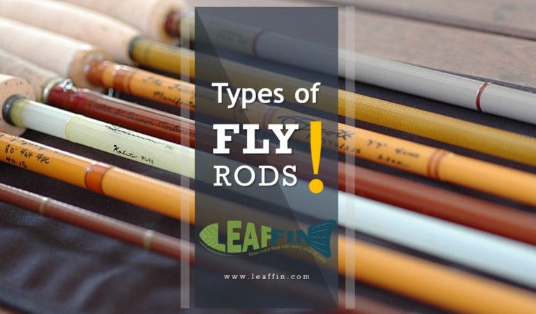 What Type Of Fly Rod Is Right For You? [Bamboo, Fiberglass, Graphite]