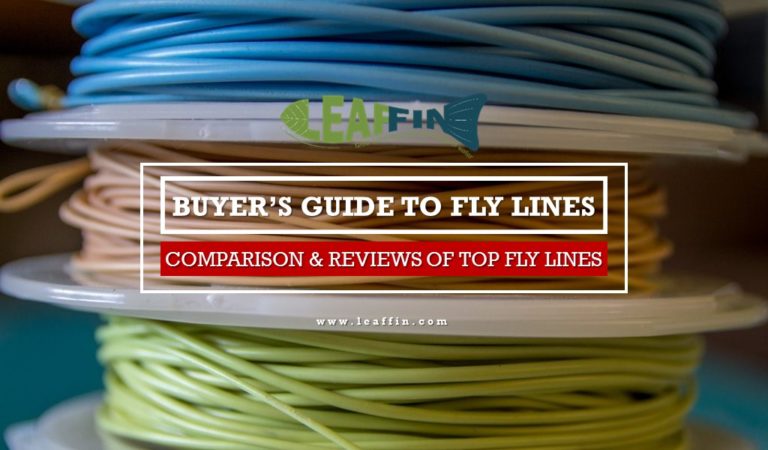 Full Guide To Choosing Fly Lines & Comparison Of Best In The Market