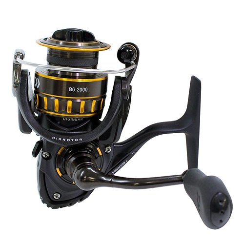 Daiwa BG 2000 review