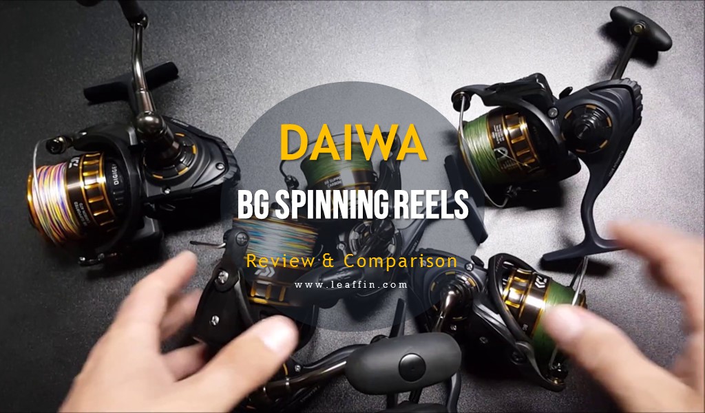 Daiwa BG Saltwater Spinning Reel-BG2500 Medium Light//Heavy