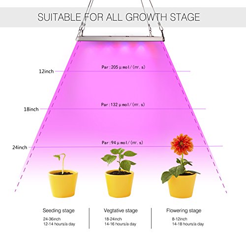 Roleadro LED grow light spectrum