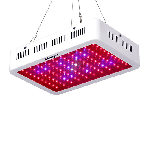 Glaxhydro Roleadro grow light