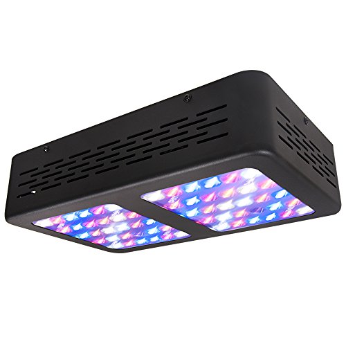 Ipower led grow light