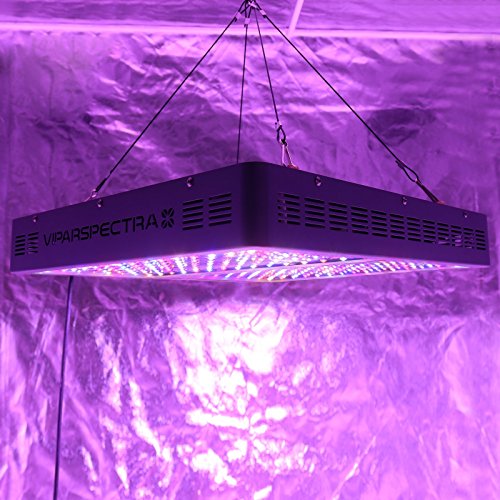 Viparspectra V1200 in a grow tent