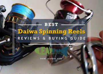best daiwa spinning reels