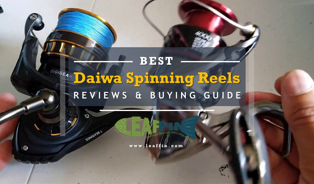 best daiwa spinning reels