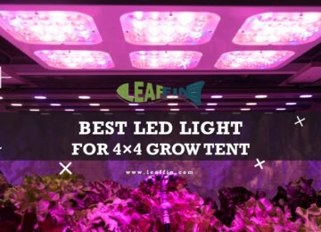 Best LED Grow Light for your 4×4 Tent