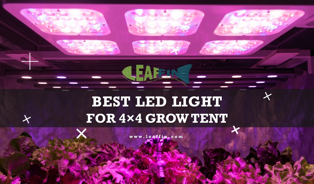 Best LED Grow Light for your 4×4 Tent