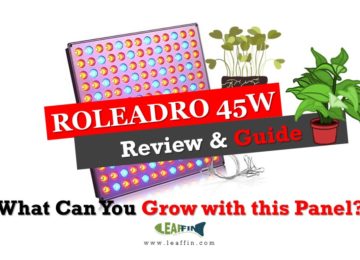Roleadro guide and Review