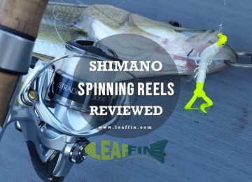 top shimano reels for saltwater, bass, trout