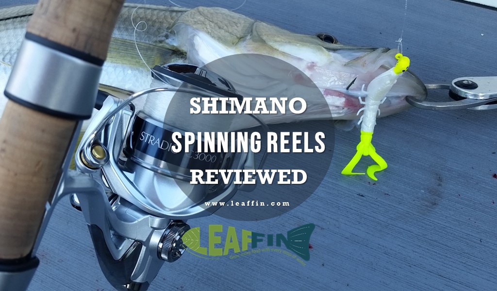 Why I Think the Shimano Spirex RG is the Best Spinning Reel