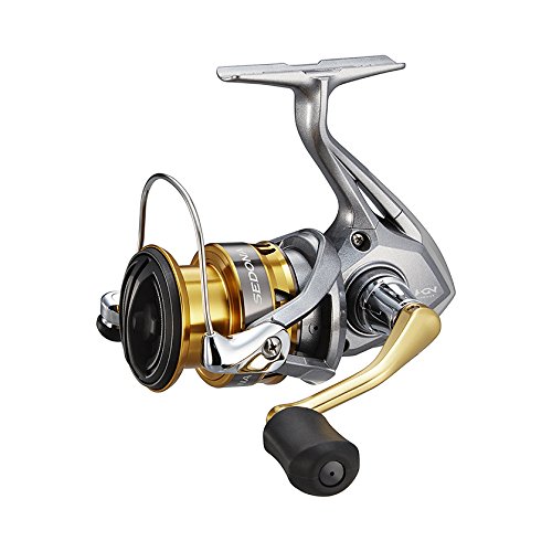 Shimano Sedona Review