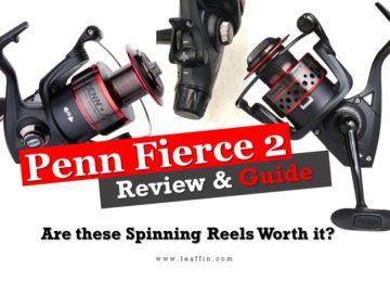 Penn Fierce 2 review