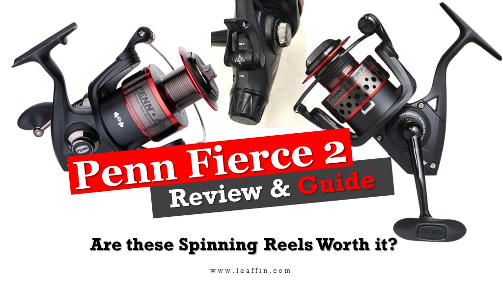 Penn Fierce 2 Review: Are these Spinning Reels Worth it?