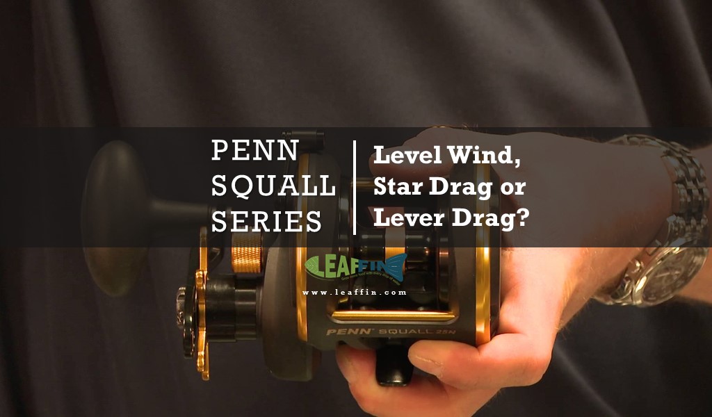 https://www.leaffin.com/wp-content/uploads/2018/09/Penn-Squall-Review.jpg