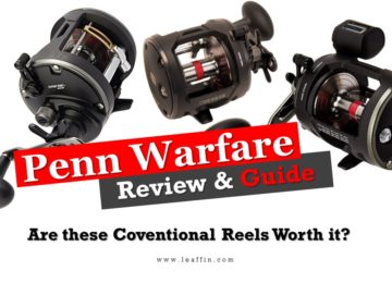 Penn Warfare Reels Review