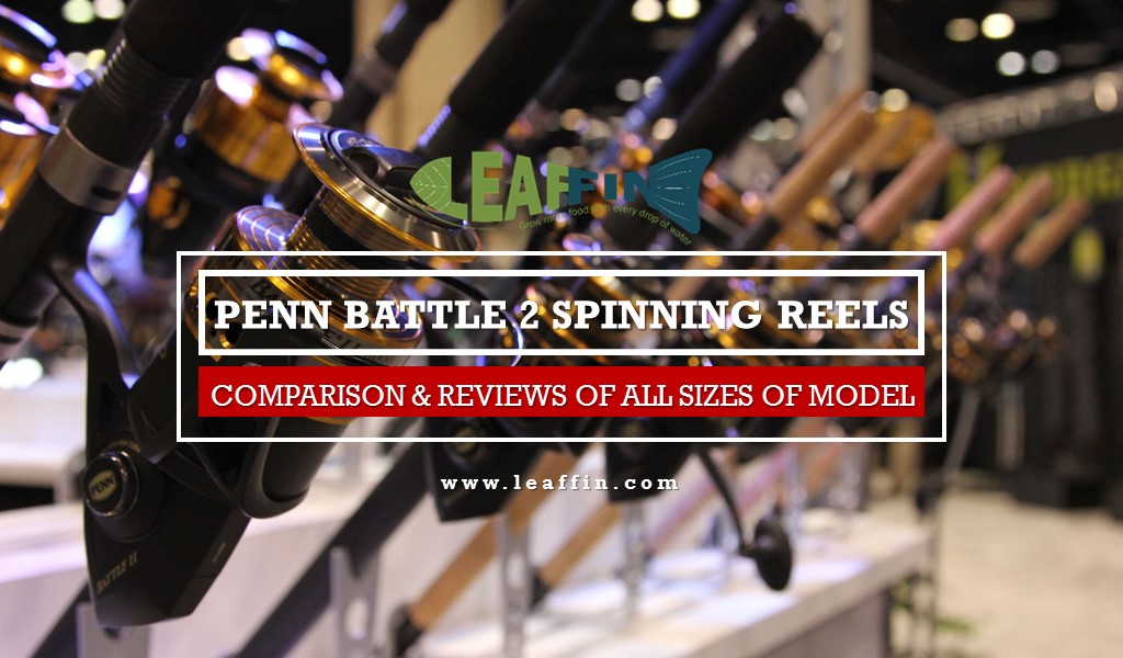 Penn battle 2 review