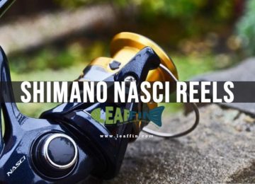 Shimano Nasci review